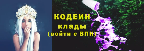 соль ск Верхний Тагил