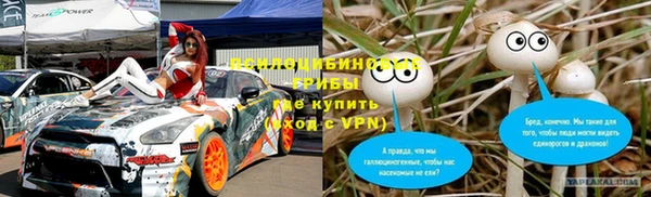 соль ск Верхний Тагил