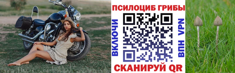 Галлюциногенные грибы ЛСД  Славянск-на-Кубани 